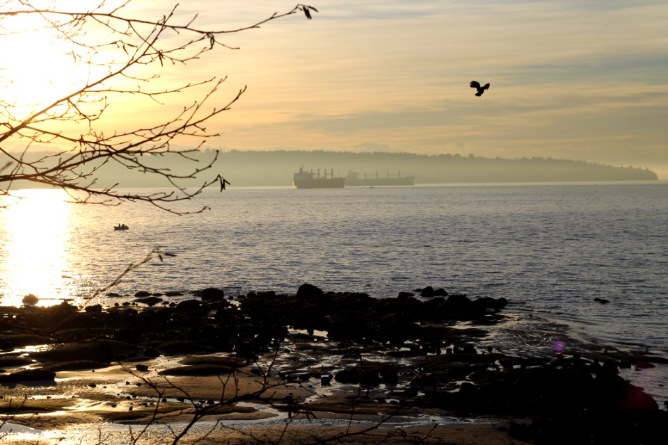 Vancouver, Canada, Misty