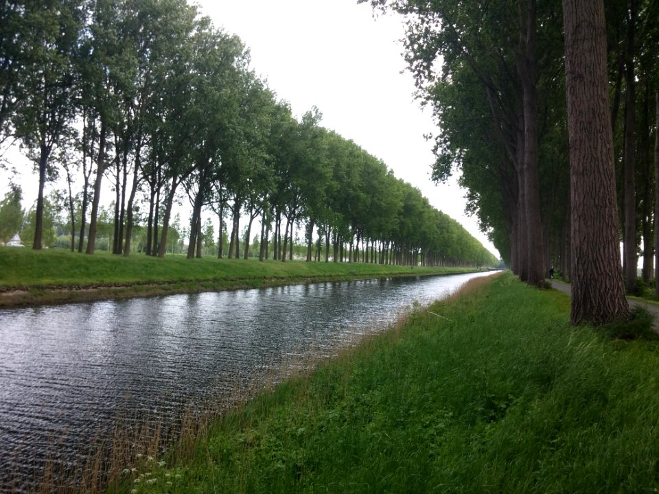 Radweg, Damme, Belgien