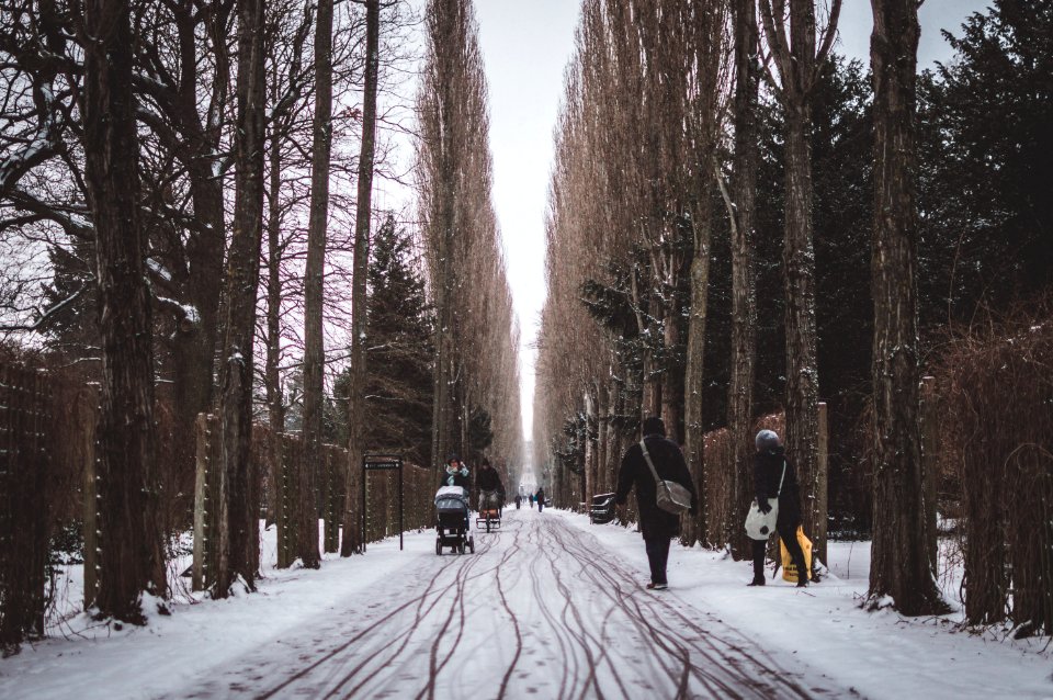 Assistens cemetery, K benhavn n, Denmark