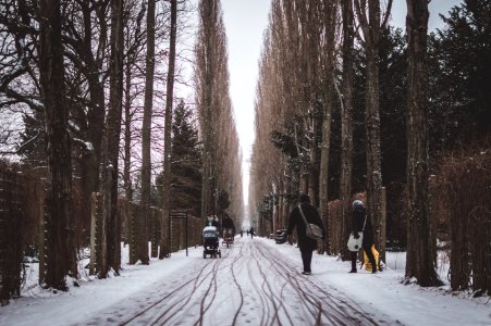 Assistens cemetery, K benhavn n, Denmark photo