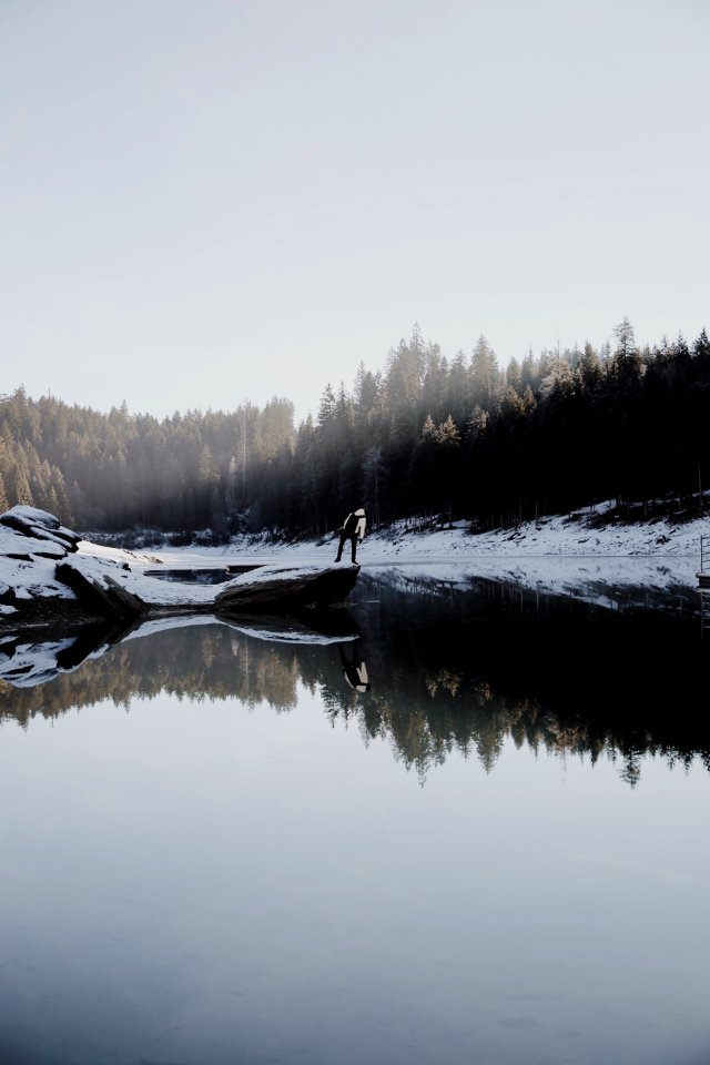 person beside lake near pine trees during daytime