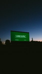 Nature, Tree, Drive in