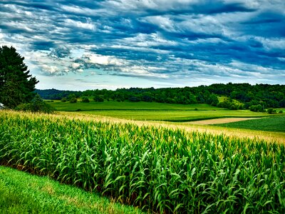 Landscape sky clouds photo