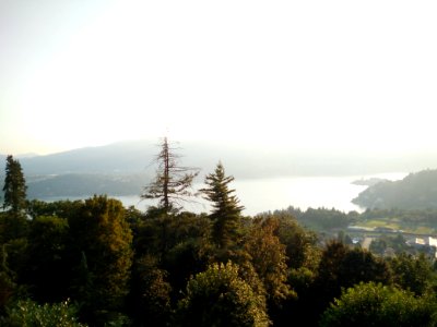 Vacciago, Italy, Garden photo