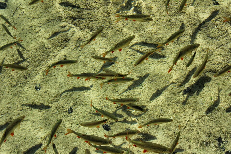 Underwater sea water