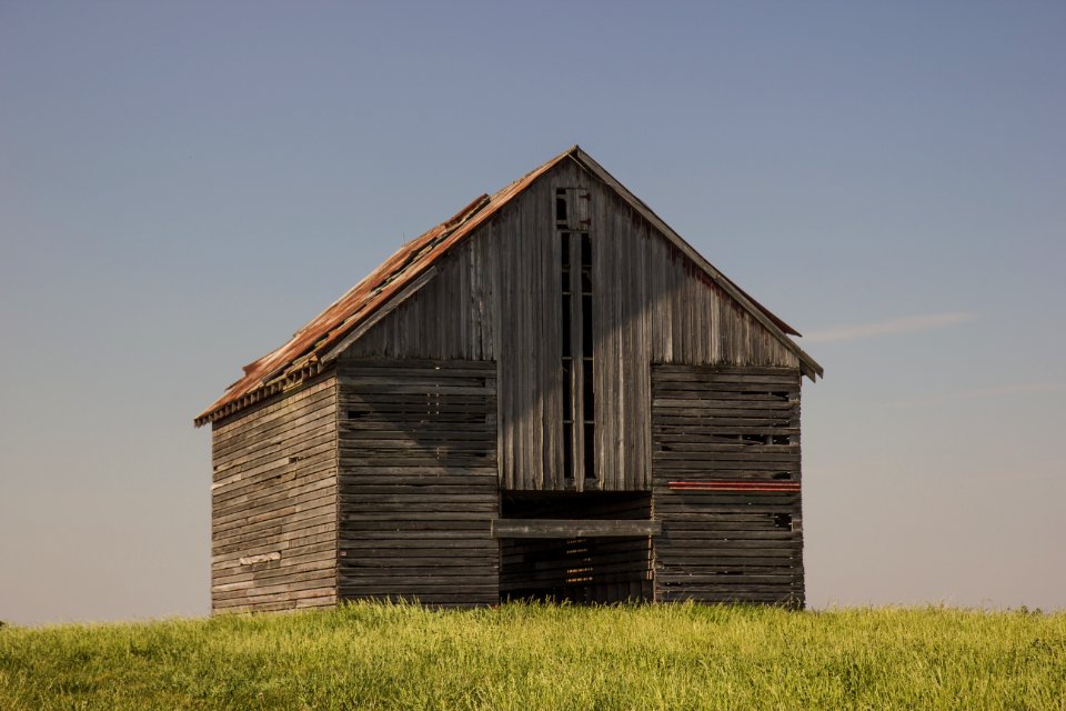 Cooksville, United states, Cornfields
