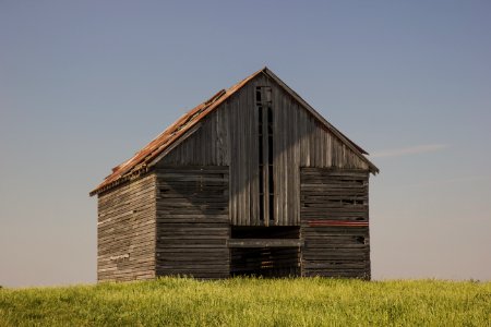 Cooksville, United states, Cornfields photo