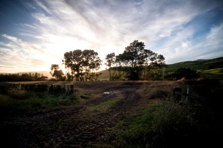 New zeal, Nature, Sunset