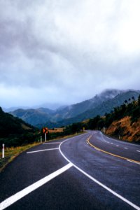 New zeal, Road, Misty forest