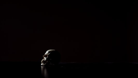 human skull on black background