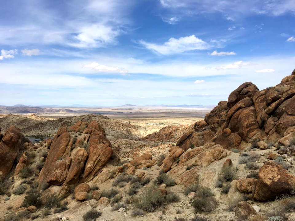 Fortynine palms oasis trail, Twentynine palms, Ca 92277