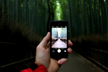 Japan, Kyoto prefecture, Cellphone
