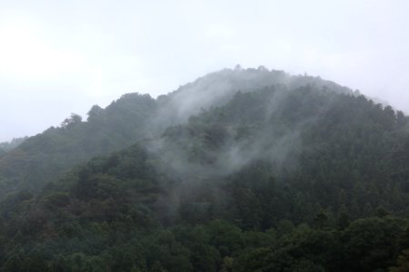 Nature, Japan, Mist photo