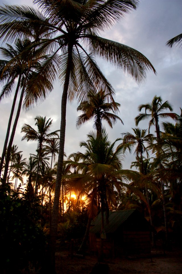 Costeo beach, Colombia, Cabin