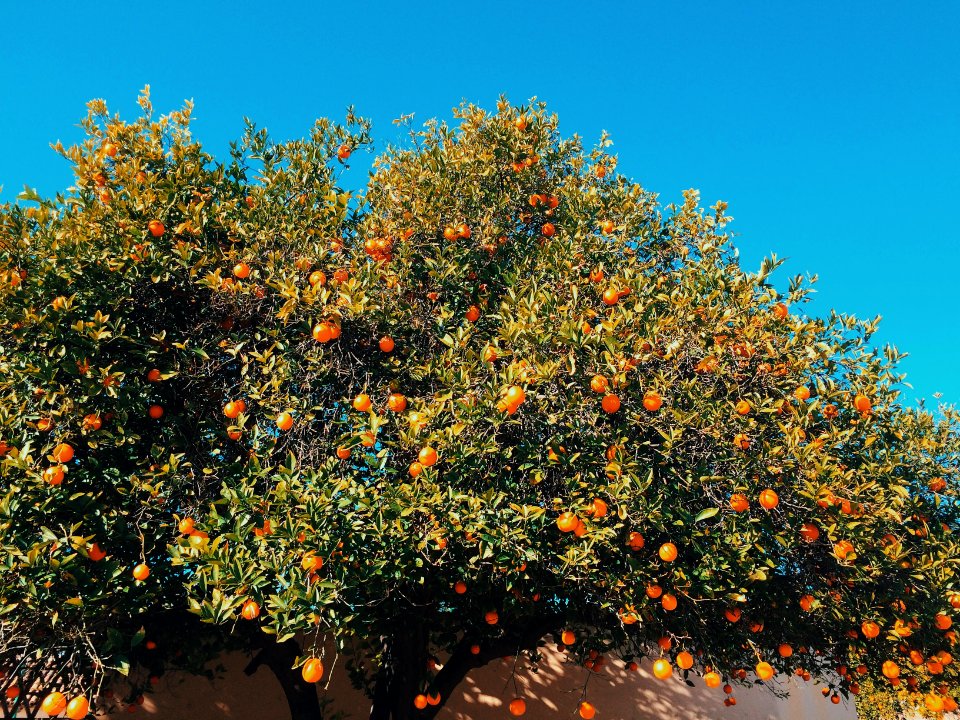 East camelback road, Scottsdale, United states