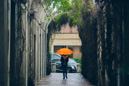 Palo alto, United states, Green