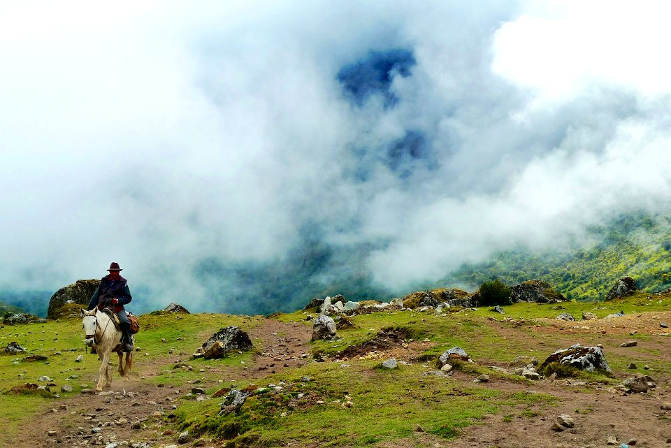 man riding on white horse on the hill