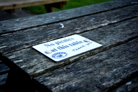 Table, Picnic
