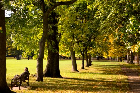 Edinburgh, The meadows, United kingdom