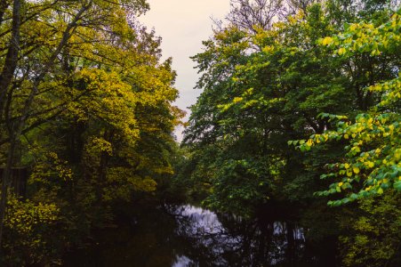 Vibes, Autumn, River photo
