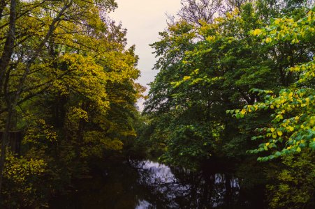 Vibes, Autumn, River