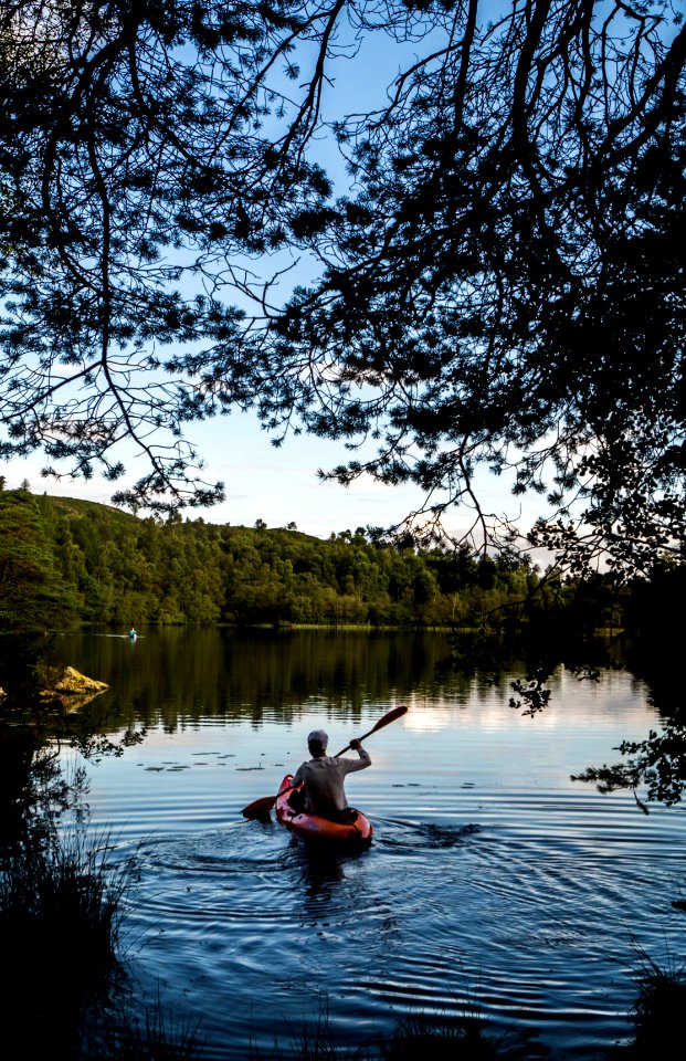 Kayaking, Forest, Lake