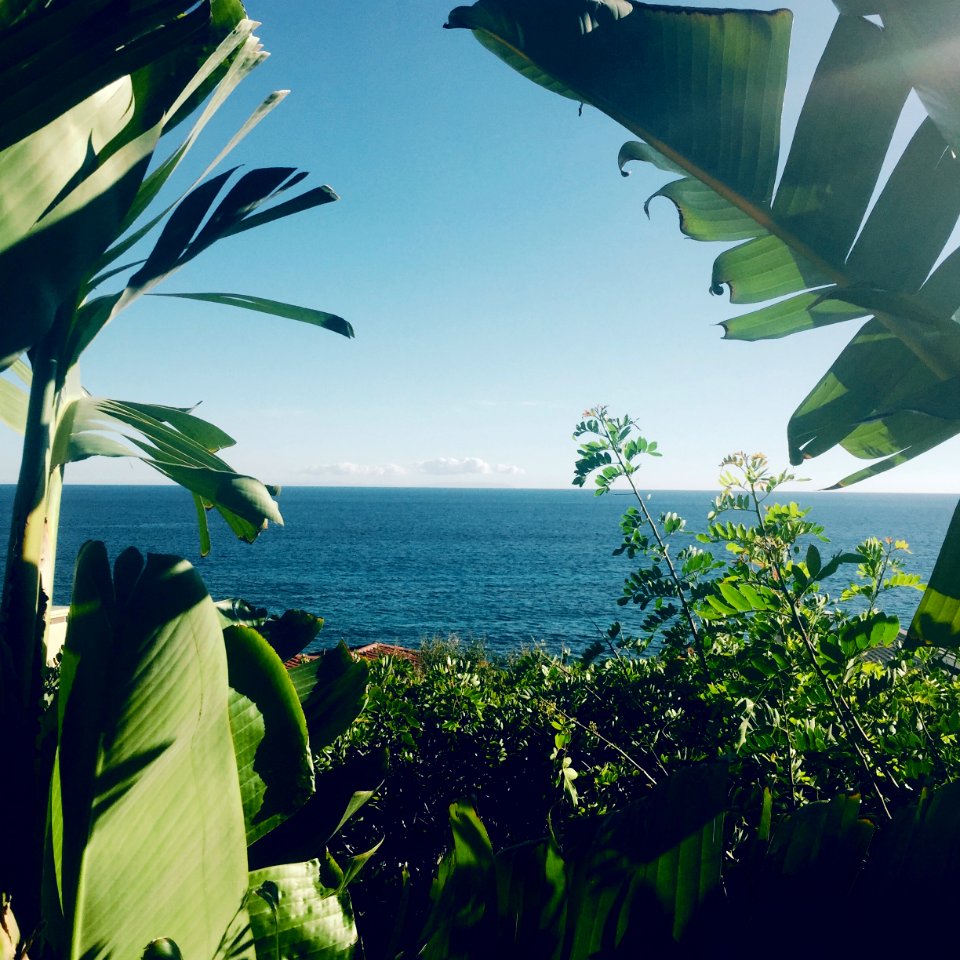 Malibu, Ocean, United states