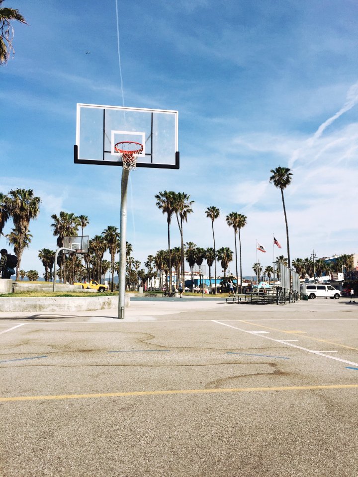 Los angeles, Sun, Basketball