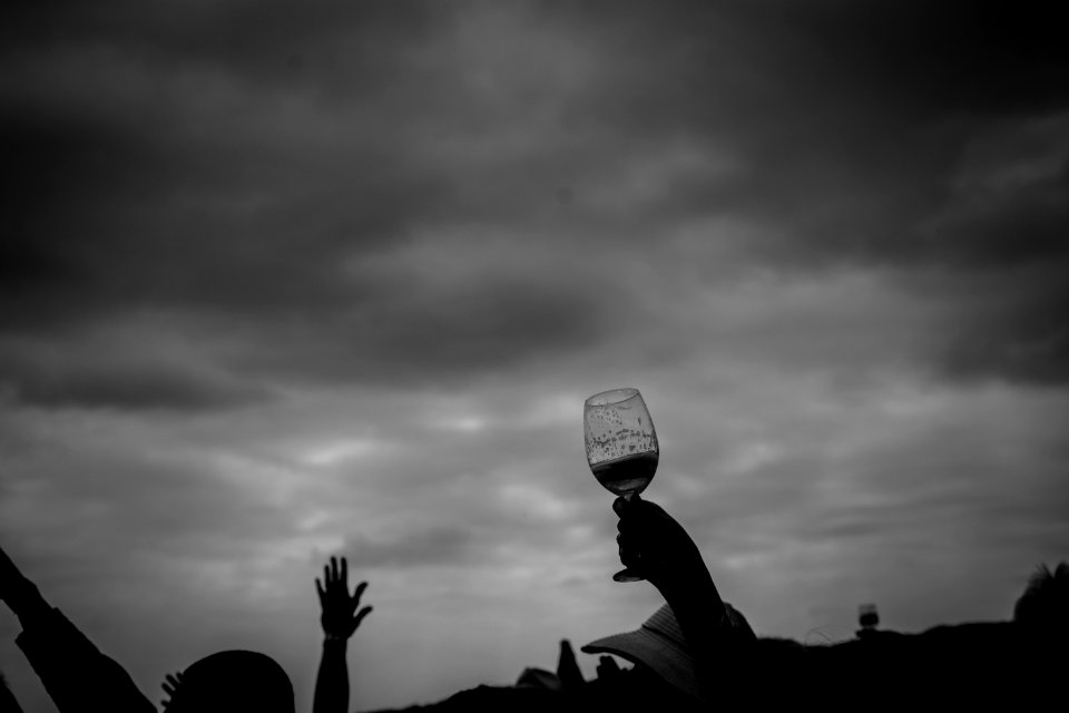 Ojai, United states, Wine