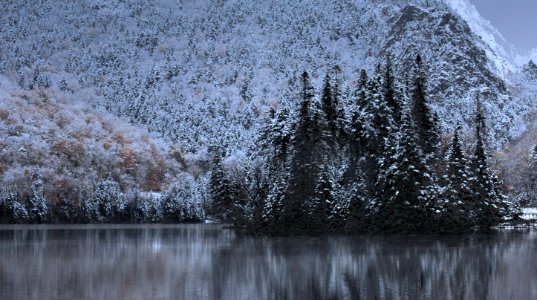 Mountain, Snow photo