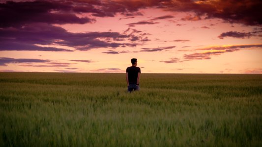 man standing between tall grasses during golden hour