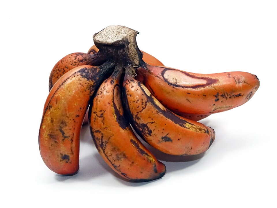 Fruit nutrition sweet