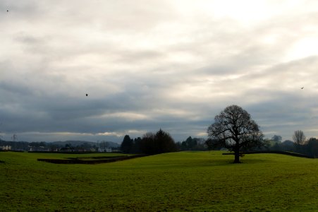 Kendal, United kingdom, Winter photo