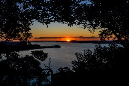 Nature, Orange, Black