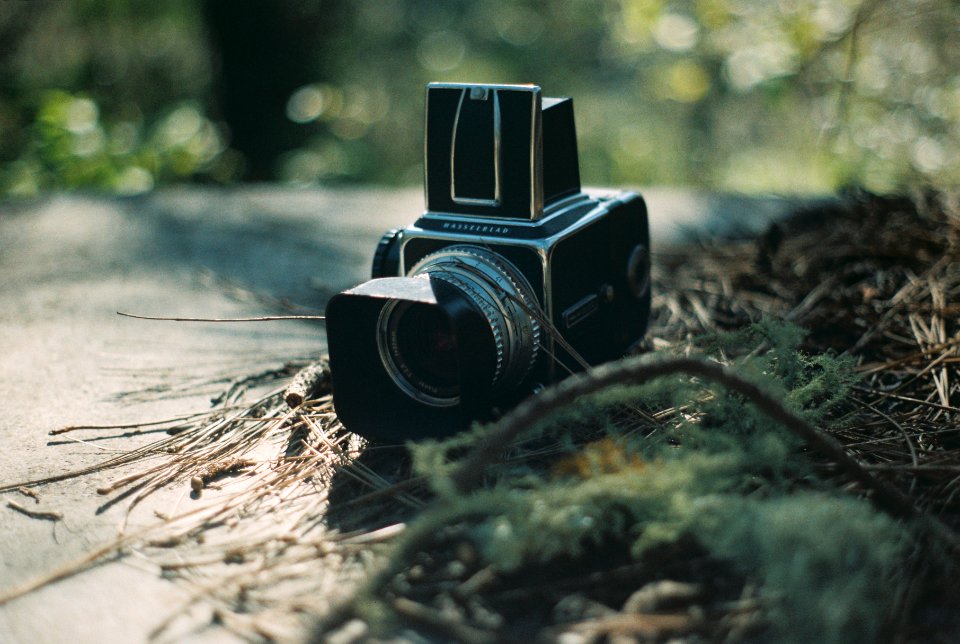 Photography, Nature, Film