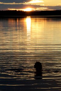 Sunset lake peaceful