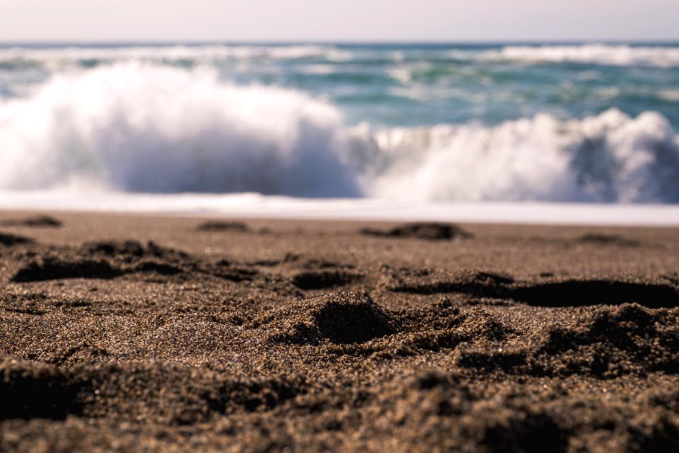 Point reyes national seashore, Inverness, United states
