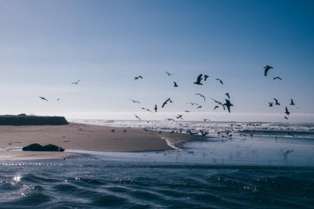 Bodega bay, United states, Sky photo