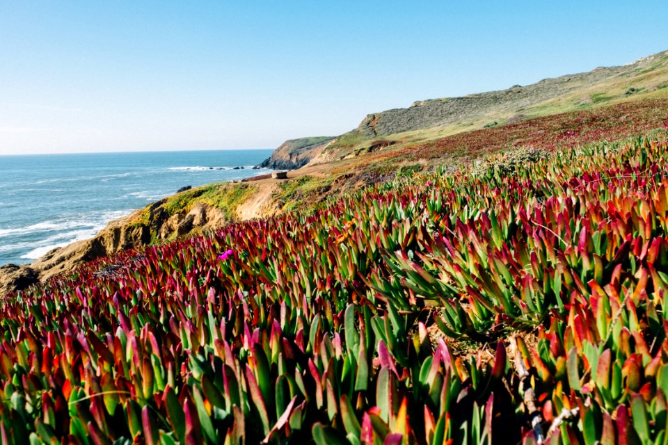 Marin county, United states, Paths