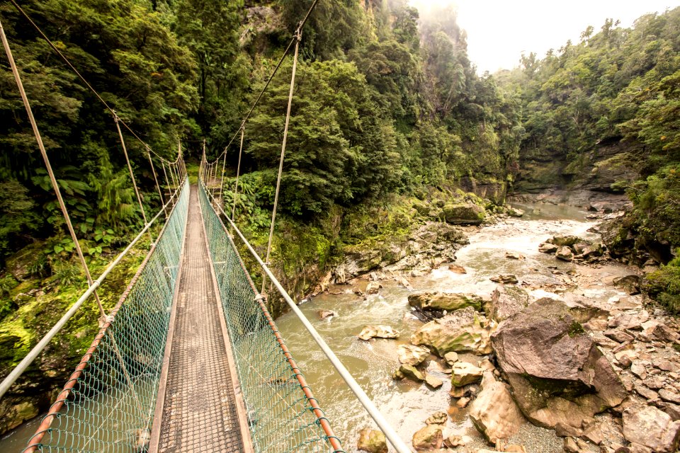 Forest, Long, River