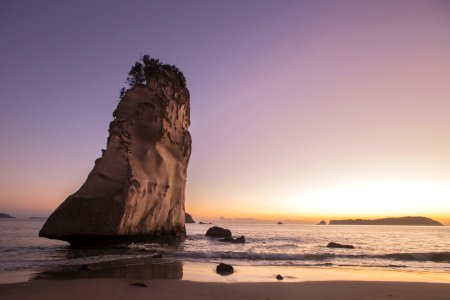 New zeal, Hahei, Whitianga photo