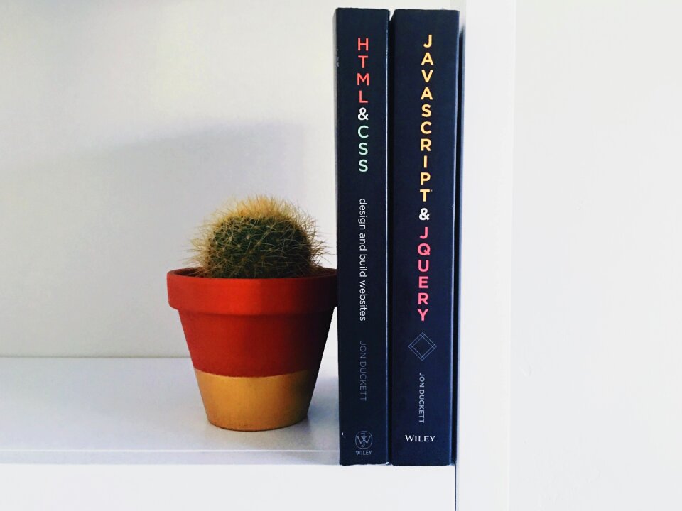 Knowledge plant pot plant