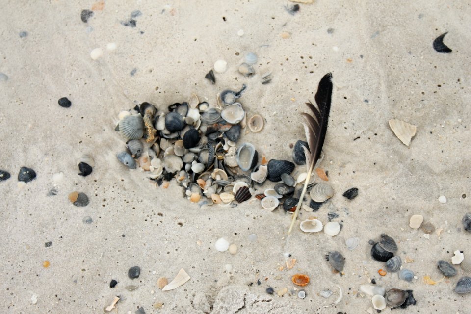 Gulf of mexico, Sea, Shore