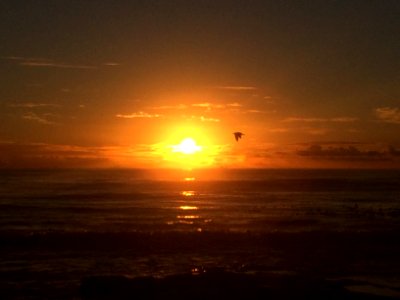 Cape town, Kommetjie, Beach life photo