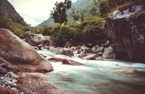 India, Tirthan valley, Nagini