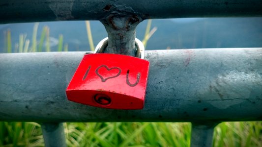 Ilu, Red, Love