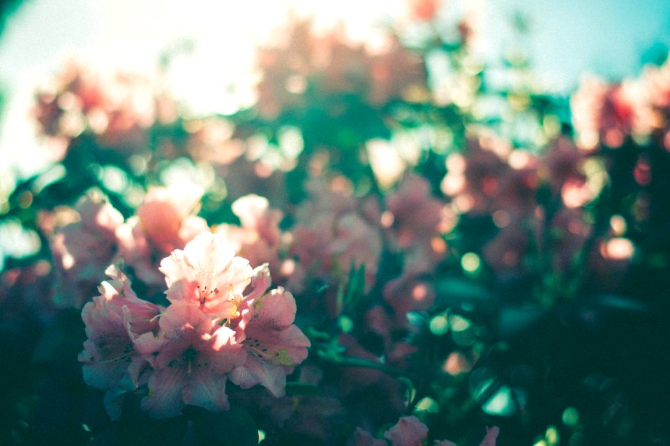 Bergen, Norway, Bokeh