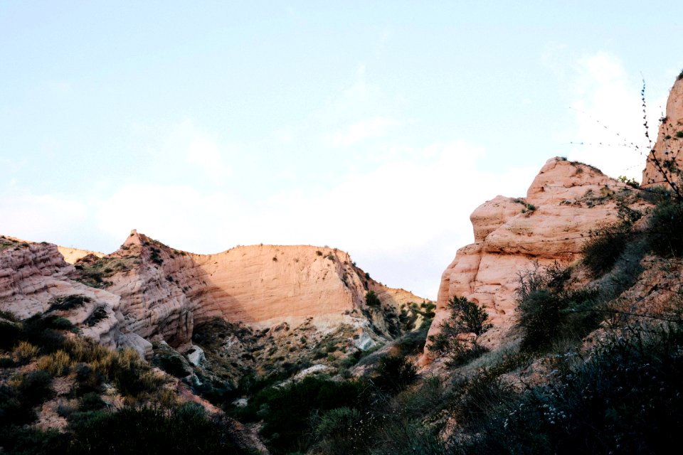 brown rock formation with green bushes