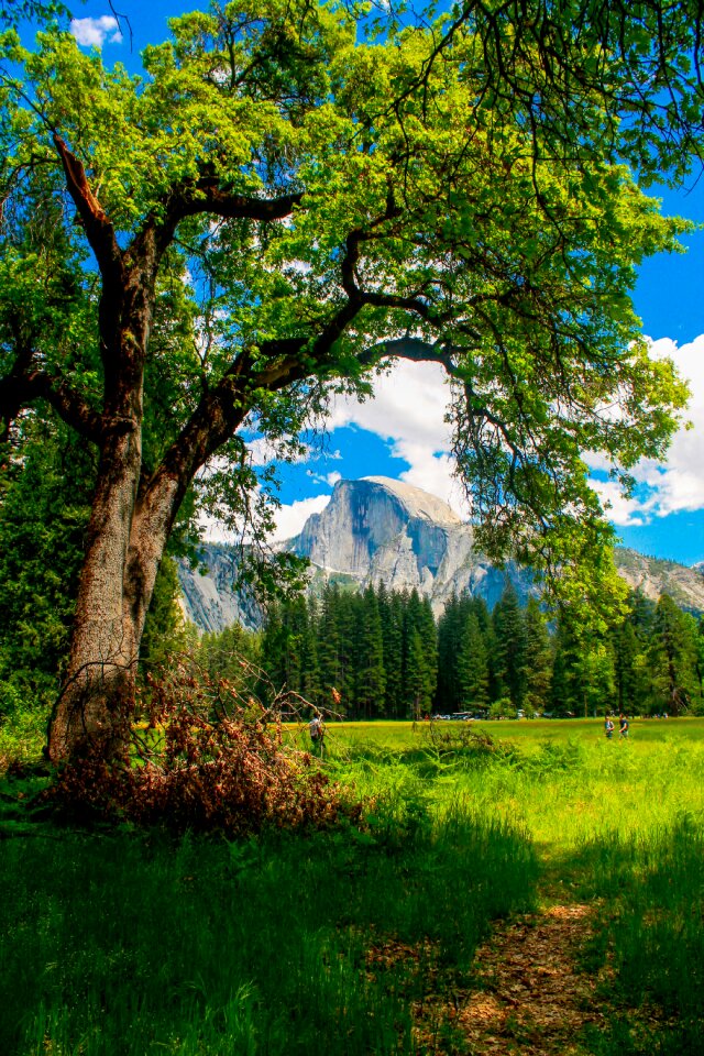 Dome park valley