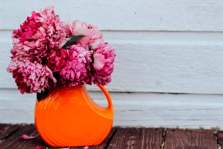 pink flowers on orange ceramic vase photo